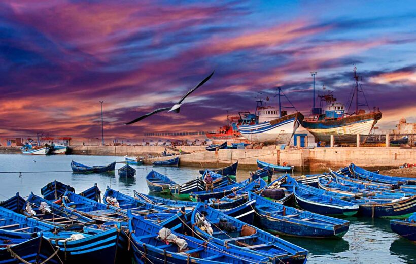 1-Day Excursion from Marrakech to Essaouira